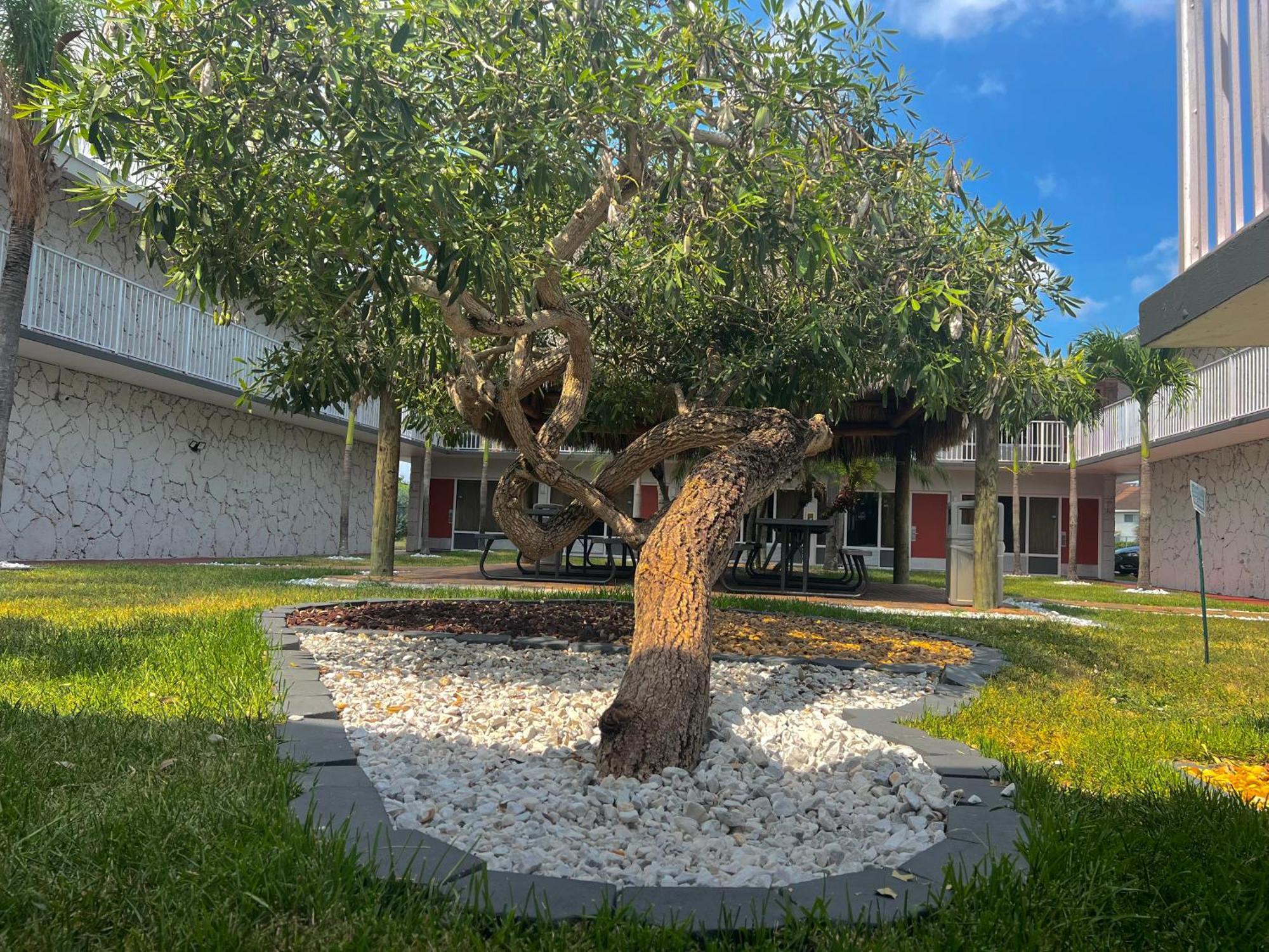 Garden Inn Homestead/Everglades/Gateway To Keys Dış mekan fotoğraf